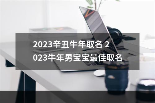 2023辛丑牛年取名 2023牛年男宝宝最佳取名