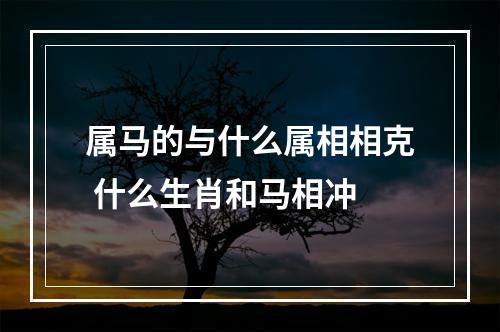 属马的与什么属相相克 什么生肖和马相冲