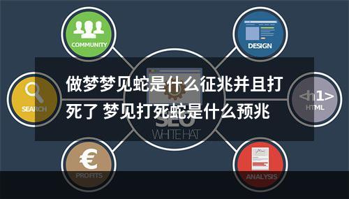 做梦梦见蛇是什么征兆并且打死了 梦见打死蛇是什么预兆