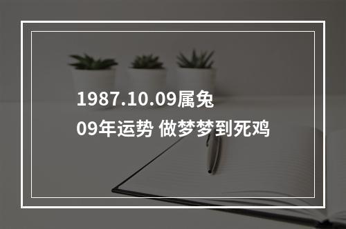 1987.10.09属兔09年运势 做梦梦到死鸡