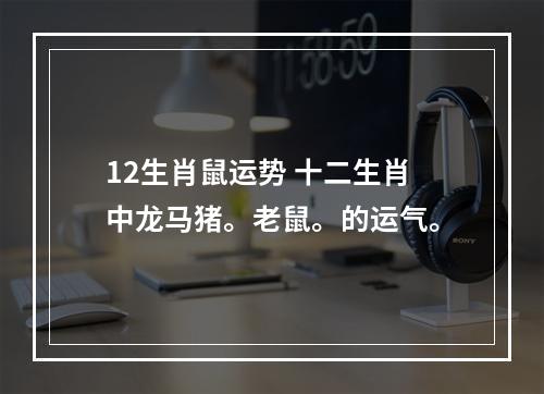 12生肖鼠运势 十二生肖中龙马猪。老鼠。的运气。