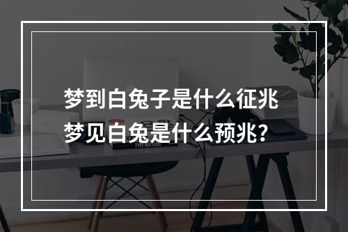 梦到白兔子是什么征兆 梦见白兔是什么预兆？