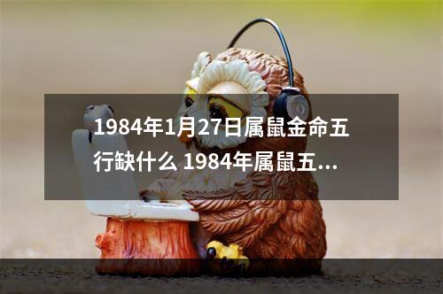 1984年1月27日属鼠金命五行缺什么 1984年属鼠五行缺什么怎么弥补