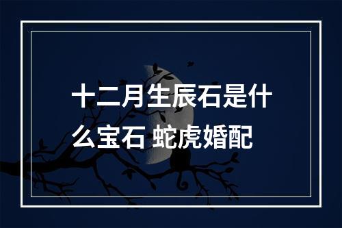 十二月生辰石是什么宝石 蛇虎婚配