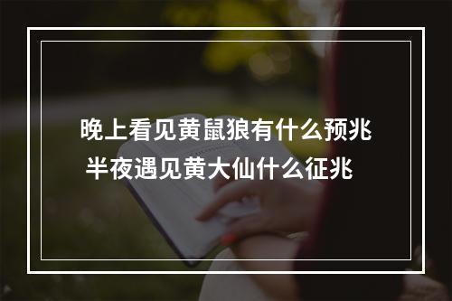 晚上看见黄鼠狼有什么预兆 半夜遇见黄大仙什么征兆