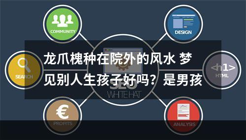 龙爪槐种在院外的风水 梦见别人生孩子好吗？是男孩