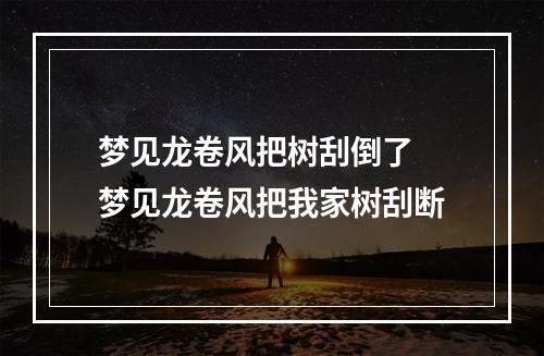 梦见龙卷风把树刮倒了 梦见龙卷风把我家树刮断