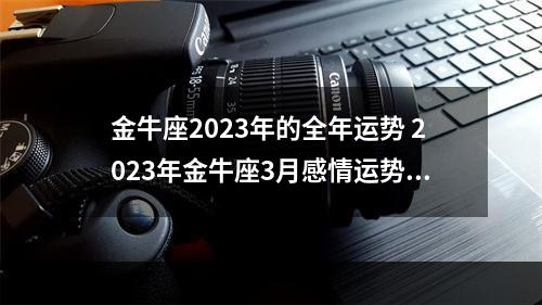 金牛座2023年的全年运势 2023年金牛座3月感情运势塔罗