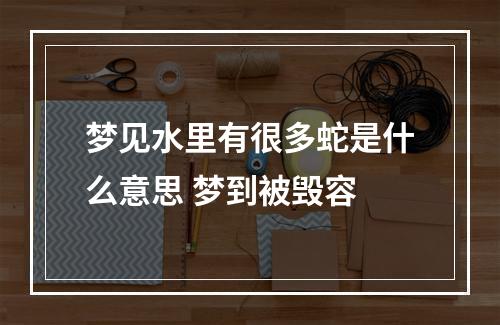 梦见水里有很多蛇是什么意思 梦到被毁容