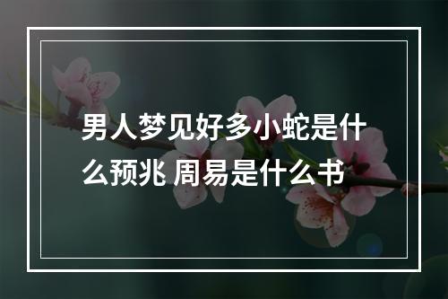 男人梦见好多小蛇是什么预兆 周易是什么书