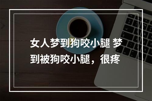 女人梦到狗咬小腿 梦到被狗咬小腿，很疼