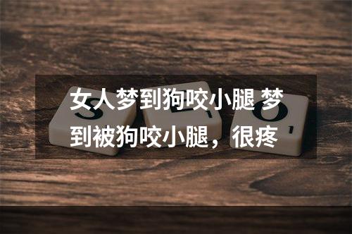 女人梦到狗咬小腿 梦到被狗咬小腿，很疼