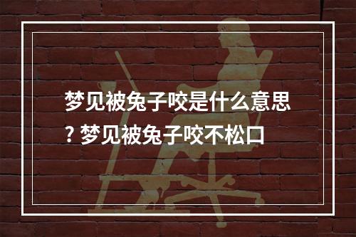 梦见被兔子咬是什么意思? 梦见被兔子咬不松口