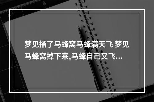 梦见捅了马蜂窝马蜂满天飞 梦见马蜂窝掉下来,马蜂自己又飞了