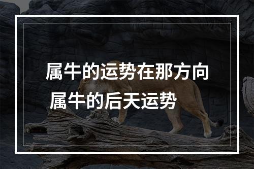 属牛的运势在那方向 属牛的后天运势