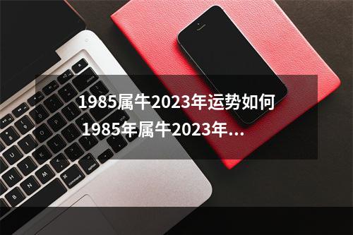 1985属牛2023年运势如何 1985年属牛2023年本命年