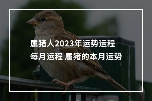 属猪人2023年运势运程每月运程 属猪的本月运势