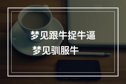 梦见跟牛捉牛逼 梦见驯服牛