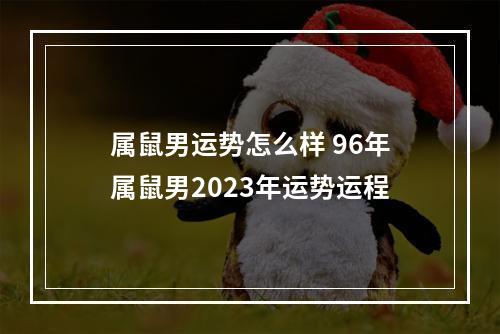 属鼠男运势怎么样 96年属鼠男2023年运势运程