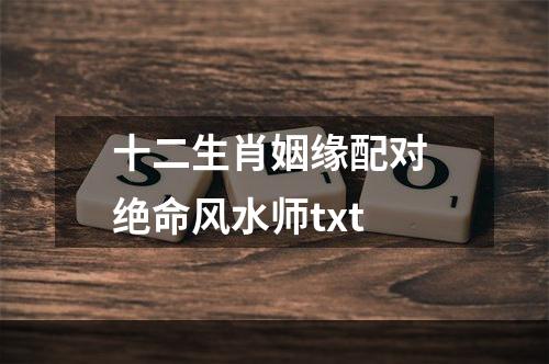 十二生肖姻缘配对 绝命风水师txt