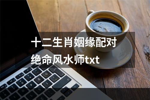 十二生肖姻缘配对 绝命风水师txt