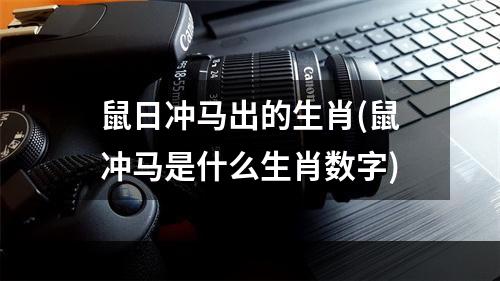 鼠日冲马出的生肖(鼠冲马是什么生肖数字)
