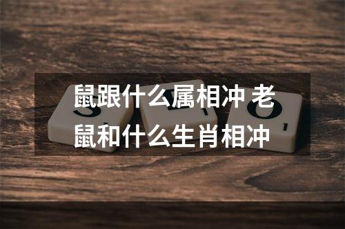 鼠跟什么属相冲 老鼠和什么生肖相冲