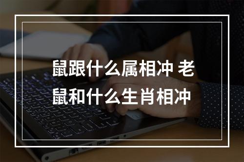 鼠跟什么属相冲 老鼠和什么生肖相冲