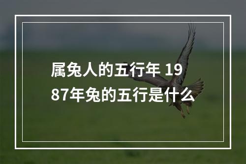 属兔人的五行年 1987年兔的五行是什么