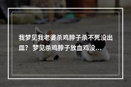 我梦见我老婆杀鸡脖子杀不死没出皿？ 梦见杀鸡脖子放血鸡没死