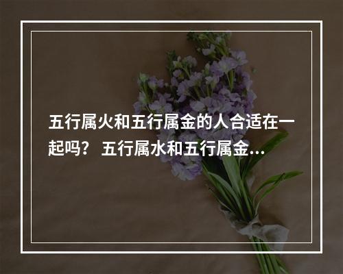 五行属火和五行属金的人合适在一起吗？ 五行属水和五行属金的人和马
