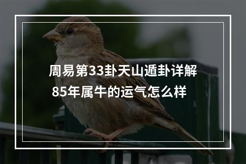 周易第33卦天山遁卦详解 85年属牛的运气怎么样