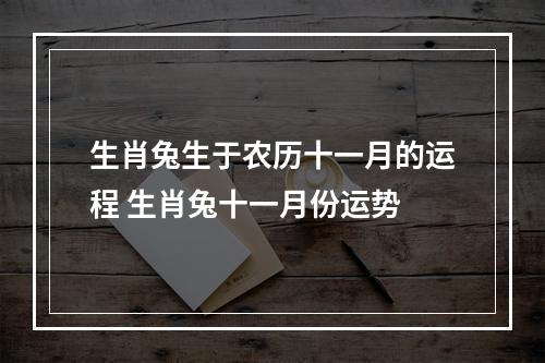 生肖兔生于农历十一月的运程 生肖兔十一月份运势