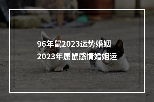 96年鼠2023运势婚姻 2023年属鼠感情婚姻运