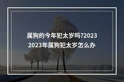 属狗的今年犯太岁吗?2023 2023年属狗犯太岁怎么办