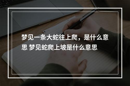 梦见一条大蛇往上爬，是什么意思 梦见蛇爬上坡是什么意思
