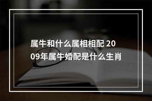 属牛和什么属相相配 2009年属牛婚配是什么生肖