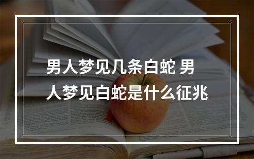 男人梦见几条白蛇 男人梦见白蛇是什么征兆