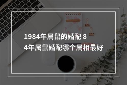 1984年属鼠的婚配 84年属鼠婚配哪个属相最好