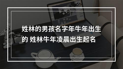 姓林的男孩名字年牛年出生的 姓林牛年凌晨出生起名