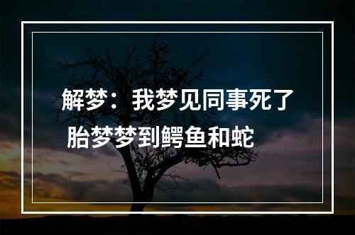 解梦：我梦见同事死了 胎梦梦到鳄鱼和蛇