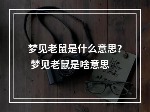 梦见老鼠是什么意思？ 梦见老鼠是啥意思