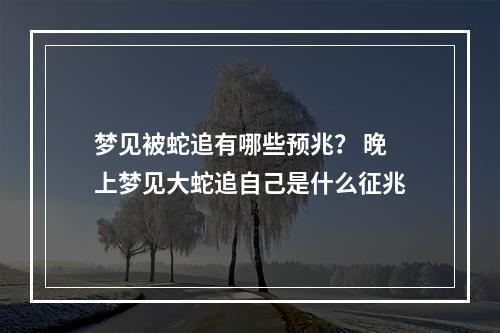 梦见被蛇追有哪些预兆？ 晚上梦见大蛇追自己是什么征兆