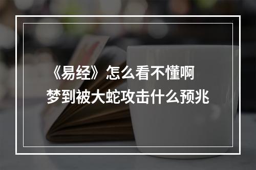 《易经》怎么看不懂啊 梦到被大蛇攻击什么预兆