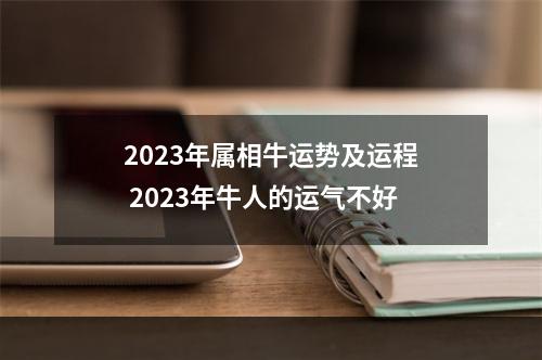 2023年属相牛运势及运程 2023年牛人的运气不好
