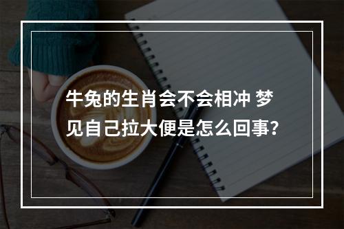 牛兔的生肖会不会相冲 梦见自己拉大便是怎么回事？