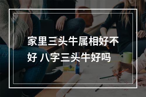 家里三头牛属相好不好 八字三头牛好吗