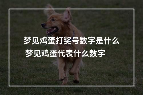 梦见鸡蛋打奖号数字是什么 梦见鸡蛋代表什么数字