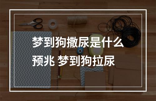 梦到狗撒尿是什么预兆 梦到狗拉尿