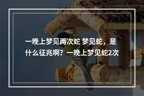 一晚上梦见两次蛇 梦见蛇，是什么征兆啊？一晚上梦见蛇2次